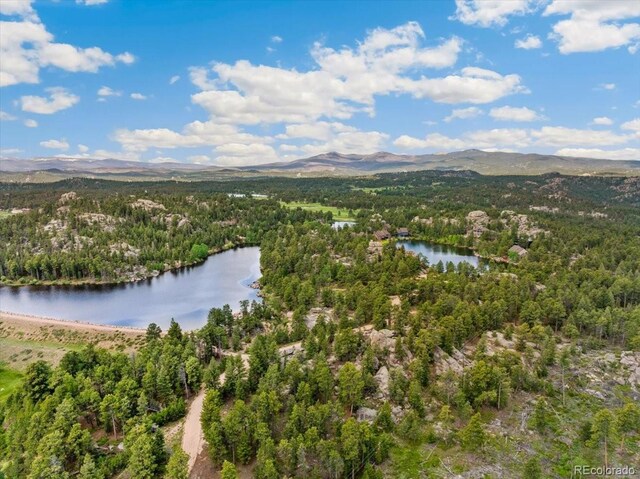 40 3 Lakes Ct, Red Feather Lakes, CO 80545 - photo 49
