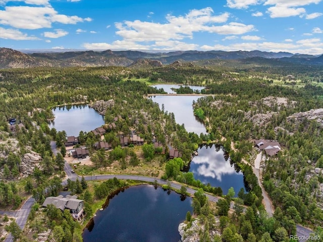 40 3 Lakes Ct, Red Feather Lakes, CO 80545 - photo 50