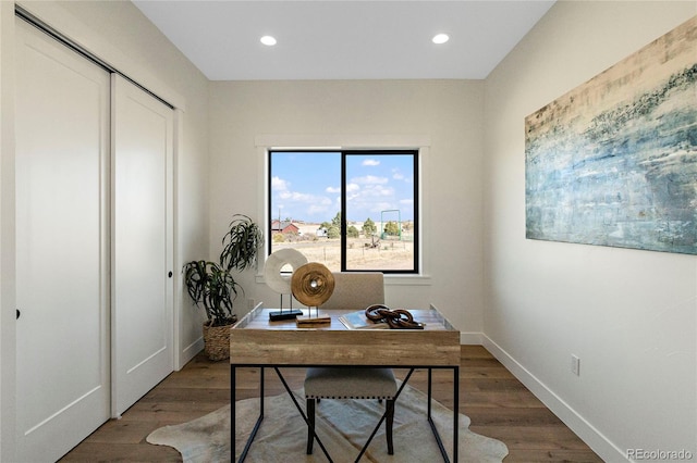 office featuring wood-type flooring