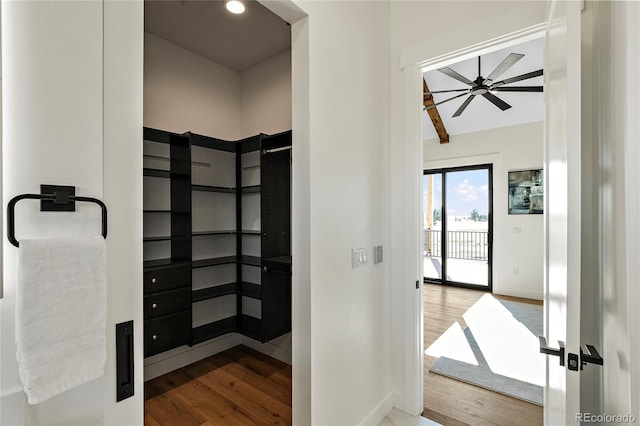 spacious closet featuring ceiling fan and wood-type flooring