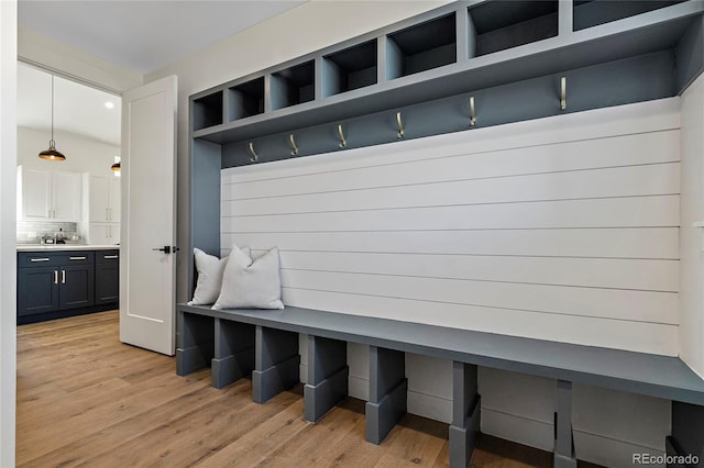 mudroom with light wood-type flooring