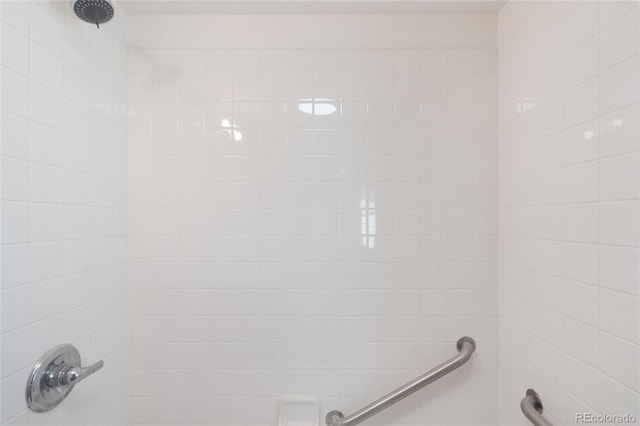 4636 Leaf Ct, Denver, CO 80216 - bathroom view of a shower