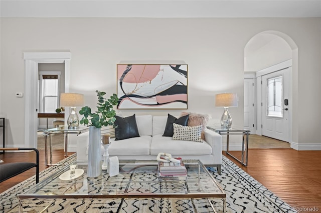 living room with wood-type flooring and a wealth of natural light