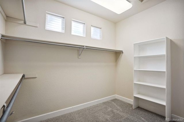 walk in closet featuring carpet floors