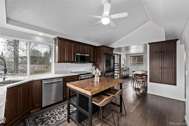 kitchen with a sink, dark brown cabinets, lofted ceiling, a ceiling fan, and appliances with stainless steel finishes