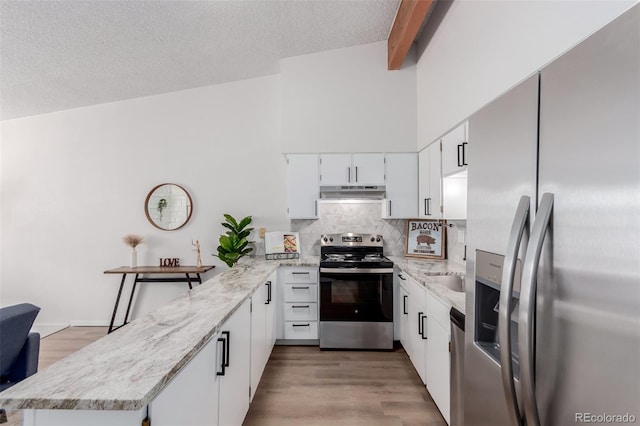 2620 S Federal Blvd Unit K, Denver, CO 80219 - kitchen featuring stainless steel appliances, a peninsula, under cabinet range hood, decorative backsplash, and light wood-style flooring