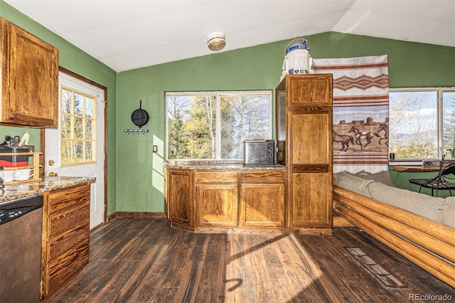 kitchen featuring vaulted ceiling, dishwasher, plenty of natural light, and dark wood-type flooring