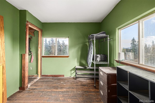 interior space with wood-type flooring