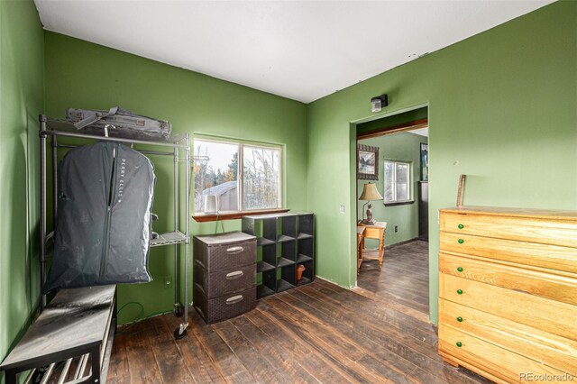 office with dark hardwood / wood-style flooring