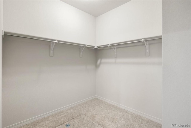 spacious closet with carpet