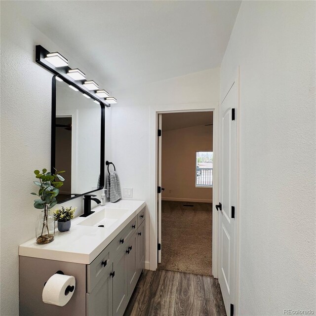 7200 E State Highway 14 Unit 27, Fort Collins, CO 80524 - bathroom featuring wood finished floors, vanity, and baseboards