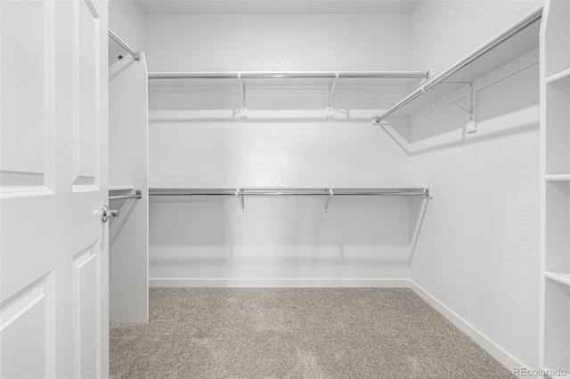 2887 E 103rd Dr, Thornton, CO 80229 - spacious closet with carpet floors