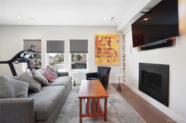 living room with hardwood / wood-style flooring