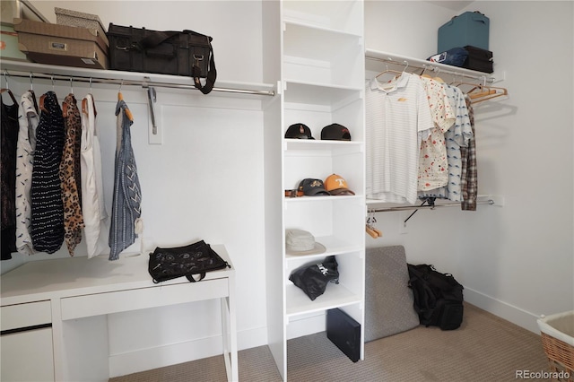 walk in closet featuring carpet floors