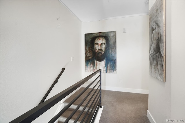 staircase featuring ornamental molding and carpet floors