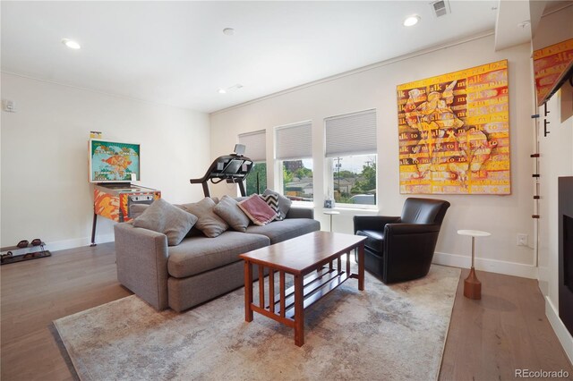 living room featuring light hardwood / wood-style floors