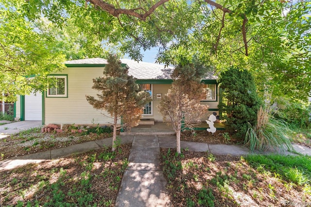 1240 Willow St, Denver, CO 80220 - photo 4