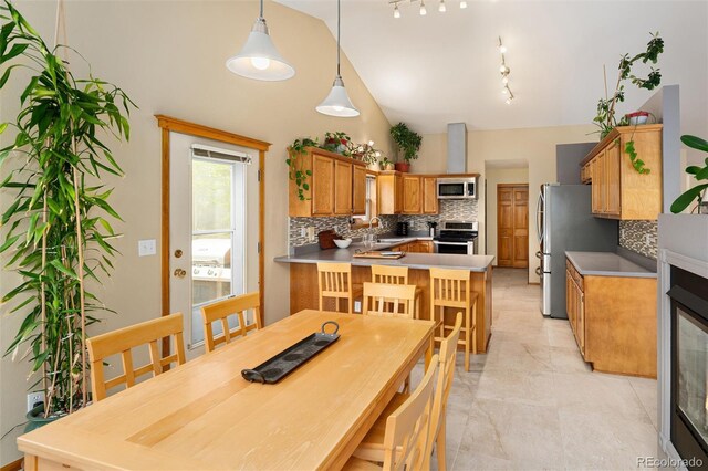 11163 Conifer Mountain Rd, Conifer, CO 80433 - dining room featuring rail lighting and high vaulted ceiling