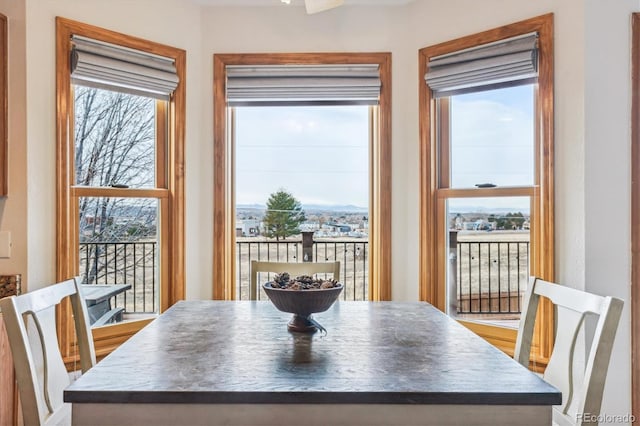 view of dining room