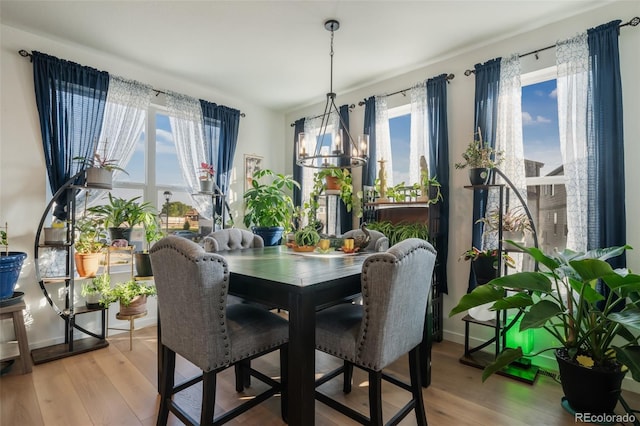 dining area featuring plenty of natural light, a chandelier, and hardwood / wood-style flooring