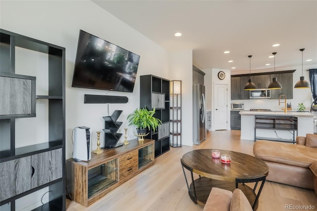 living room featuring light hardwood / wood-style flooring and sink