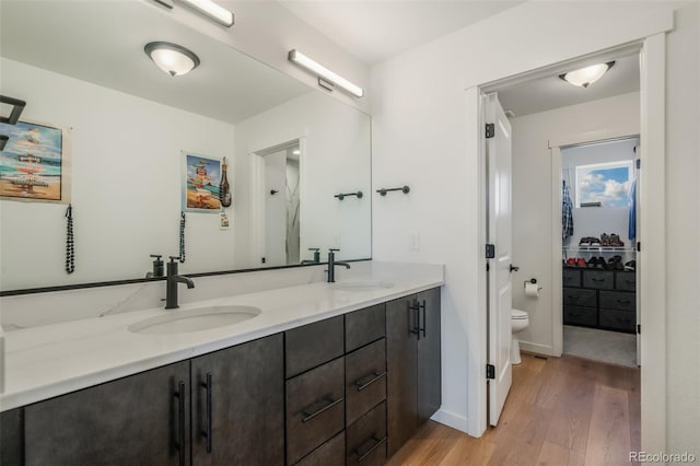 bathroom with vanity, hardwood / wood-style floors, and toilet