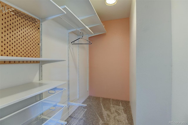8555 Fairmount Dr Unit C202, Denver, CO 80247 - spacious closet featuring carpet