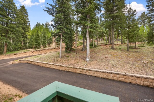 958 Cottonwood Lake Dr, Divide, CO 80814 - photo 36