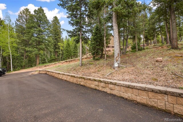 958 Cottonwood Lake Dr, Divide, CO 80814 - photo 37
