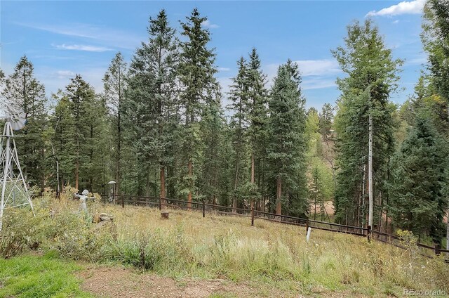 958 Cottonwood Lake Dr, Divide, CO 80814 - photo 4