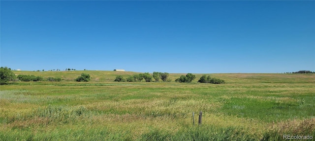 3625 County Road 114, Elizabeth, CO 80107 - photo 28