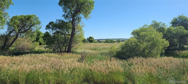 3625 County Road 114, Elizabeth, CO 80107 - photo 4