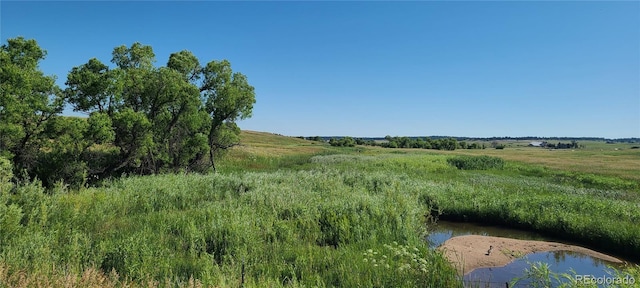 3625 County Road 114, Elizabeth, CO 80107 - photo 9