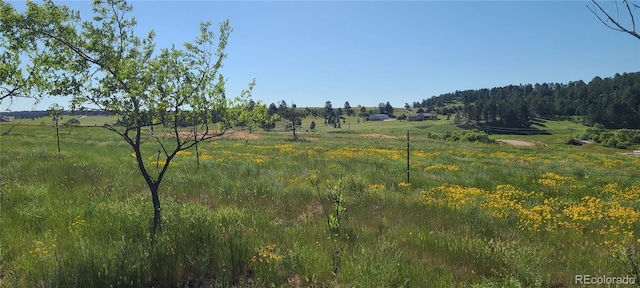 3625 County Road 114, Elizabeth, CO 80107 - photo 13