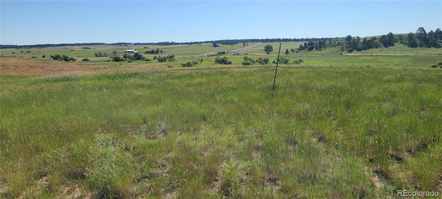 3625 County Road 114, Elizabeth, CO 80107 - photo 17