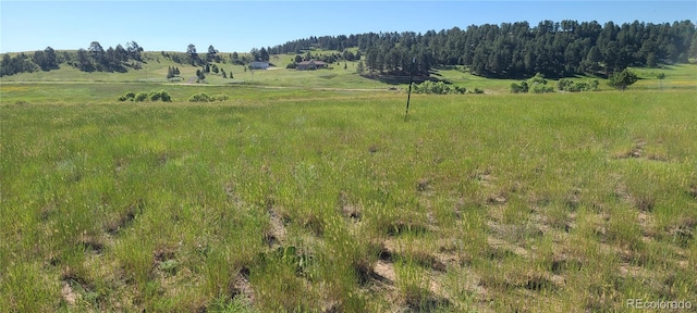 3625 County Road 114, Elizabeth, CO 80107 - photo 18