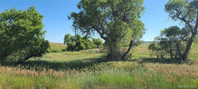 3625 County Road 114, Elizabeth, CO 80107 - photo 22