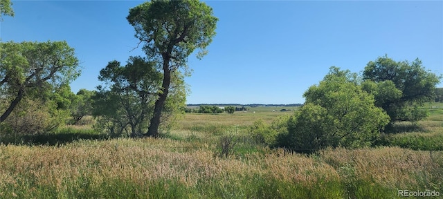3625 County Road 114, Elizabeth, CO 80107 - photo 23