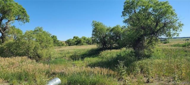 3625 County Road 114, Elizabeth, CO 80107 - photo 24