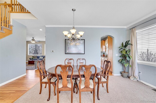 5520 Morgan Way, Frederick, CO 80504 - photo 8