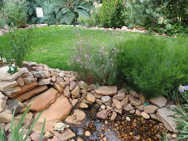5520 Morgan Way, Frederick, CO 80504 - photo 32