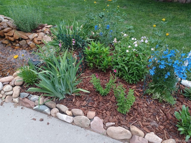 5520 Morgan Way, Frederick, CO 80504 - photo 34