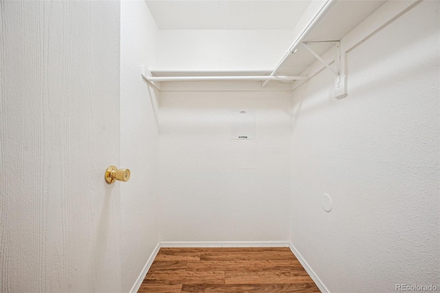 walk in closet with wood finished floors