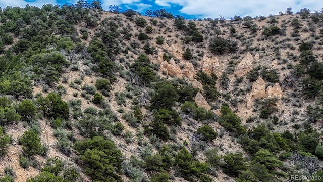 8966 Hanging Tree Dr, Salida, CO 81201 - photo 8