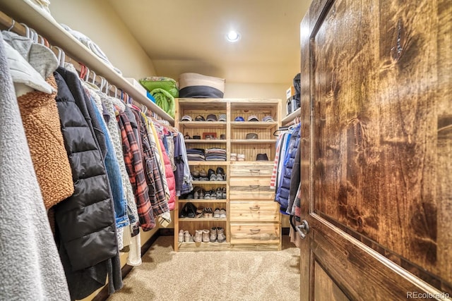 8966 Hanging Tree Dr, Salida, CO 81201 - photo 31