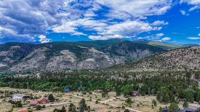 8966 Hanging Tree Dr, Salida, CO 81201 - photo 46