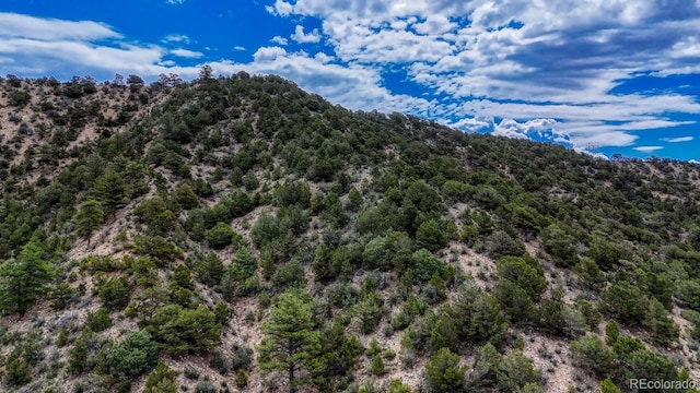 8966 Hanging Tree Dr, Salida, CO 81201 - photo 47