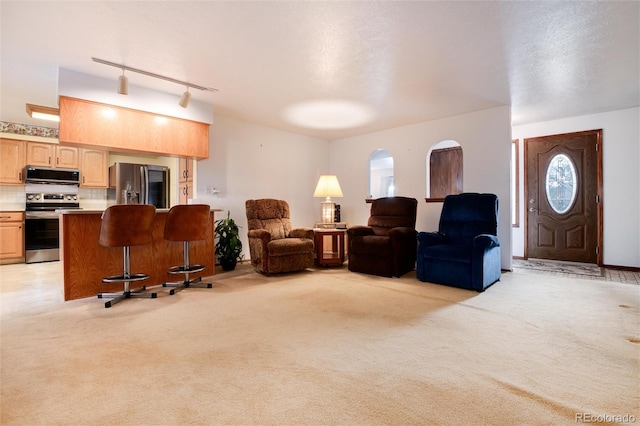 living room with light colored carpet and rail lighting