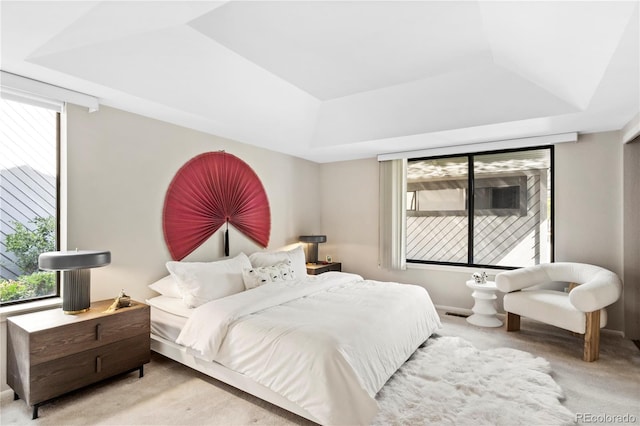 carpeted bedroom with a tray ceiling