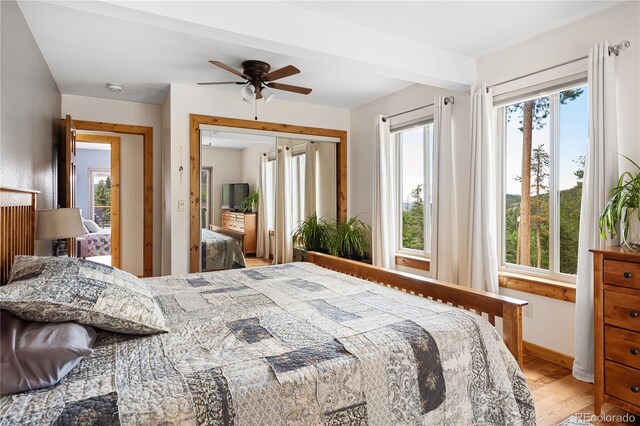 6773 Snowshoe Trl, Evergreen, CO 80439 - bedroom with light wood-style floors, a closet, and ceiling fan
